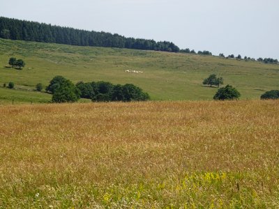 DSC05584 