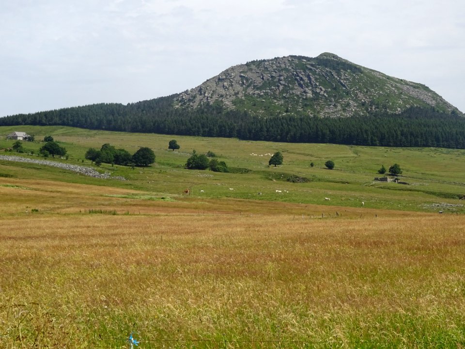 Le Mont Chaulet, à la limite entre Haute-Loire et Ardcèhe 
