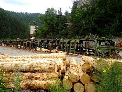 Scierie, zone de tranchage et déroulage des grumes, ZAE de… 