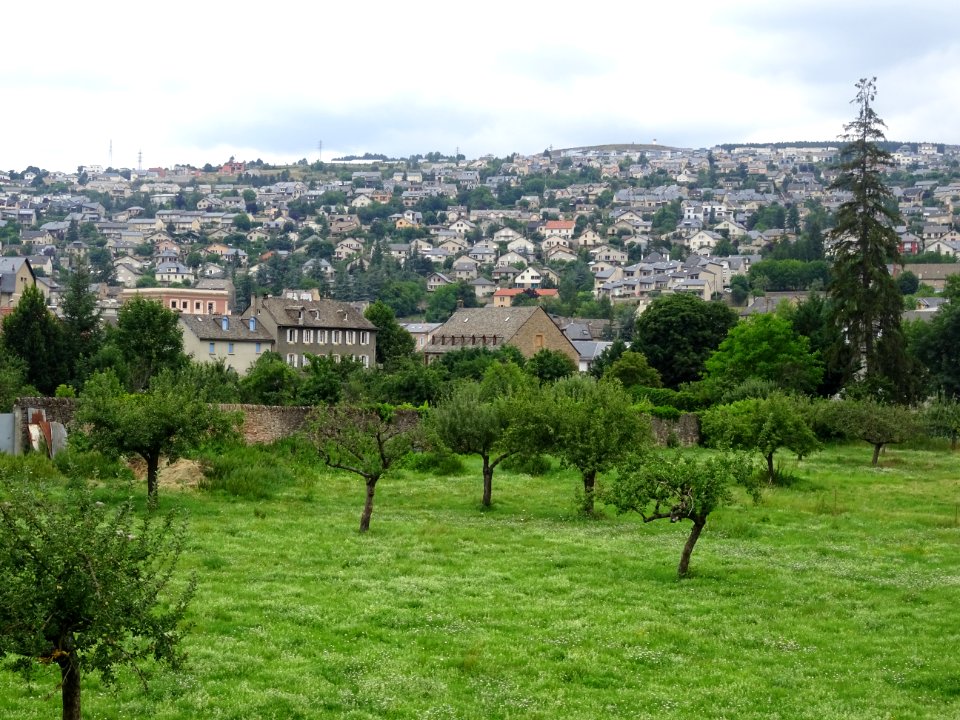 Vue sur un verger et des maisons, Mende, Lozère 
