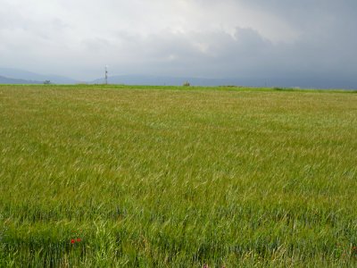 DSC05709 