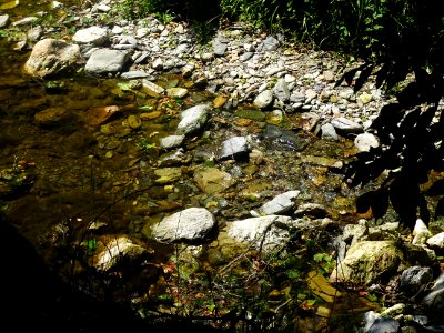 La rivière le Thoré, à Verreries-de-Moussans, Hérault 