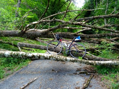 En vélo, ca passe toujours ... Arbres abattus par un orage… 