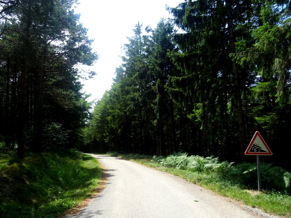 Descente du col de la Croix de Sous, à 16%, Aude 