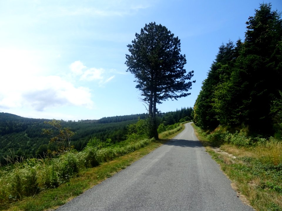 Petite route qui se relève avec un fort pourcentage ensuit… 