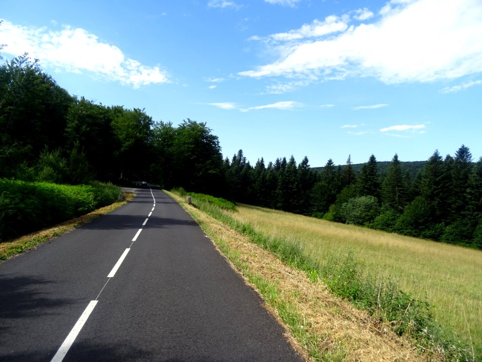 Parc Naturel Régional du Haut Languedoc, forêt domaniale d… 