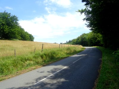 DSC06230 
