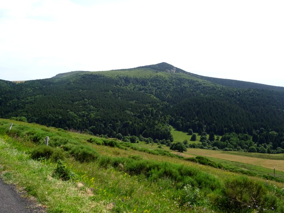 Le Suc de Taupernas et ses immenses forêts de sapins, Ardè… 