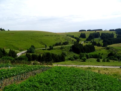 DSC05591 