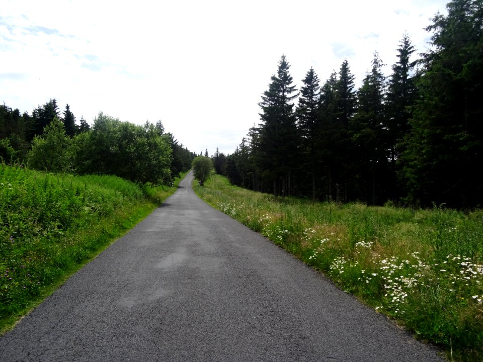 Dernière ligne droite et montée avant d'arriver au Col de … 