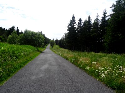Dernière ligne droite et montée avant d'arriver au Col de … 