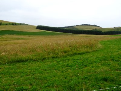 DSC05487 