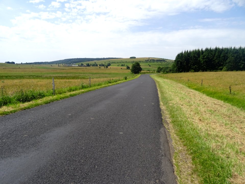 Vers Fay-sur-Lignon, paysage typique de Haute-Loire 