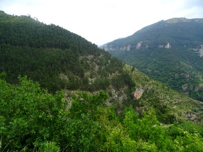 DSC05826 