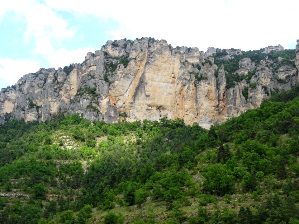 Dans les gorges du Tarn, Aveyron 