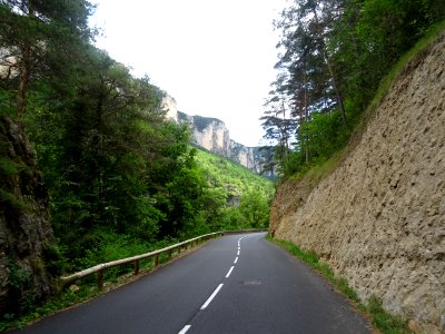 Dans les gorges du Tarn, Lozère 