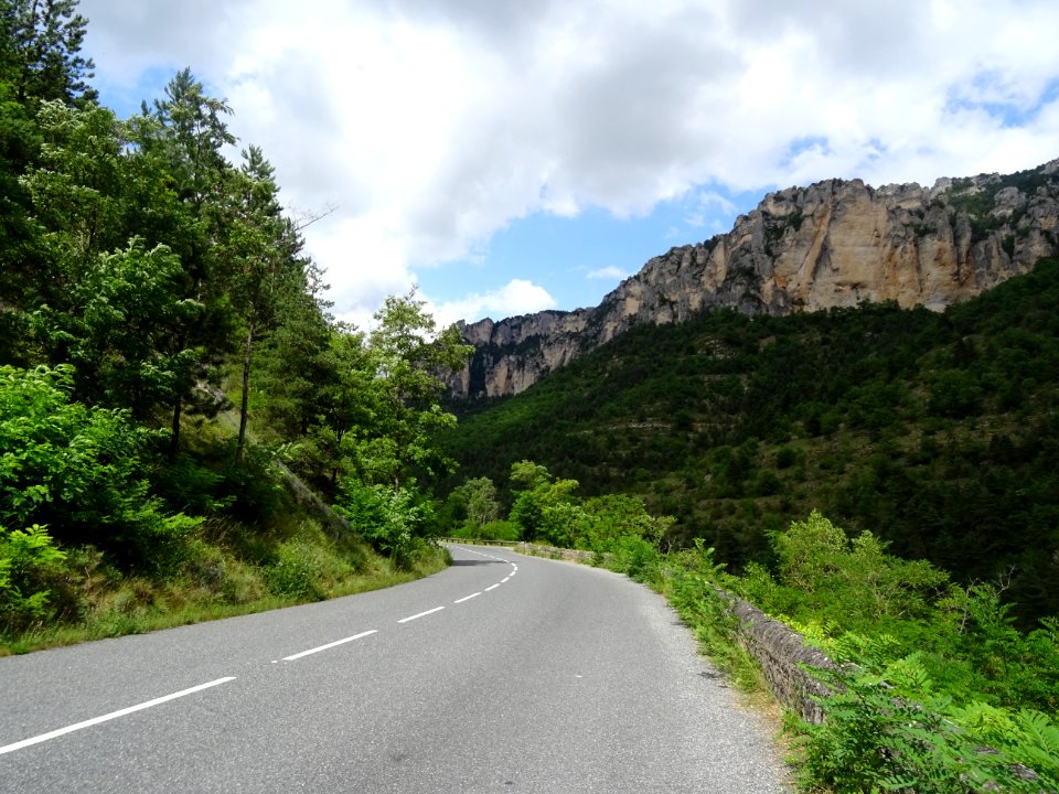 Dans les gorges du Tarn, Aveyron 