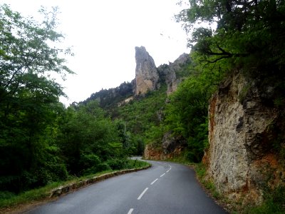 Dans les gorges du Tarn, Lozère 