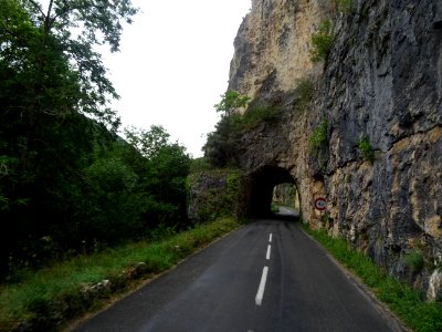 Dans les gorges du Tarn, Lozère 