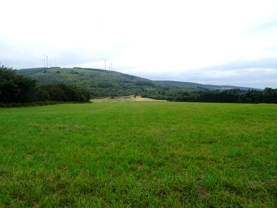 Eoliennes, dans le parc éolien de Haut Cabardès, Aude 