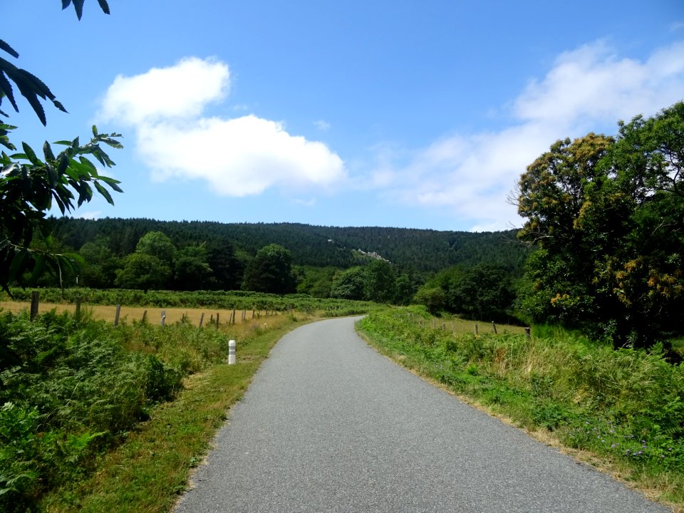 Petite route, Hérault 