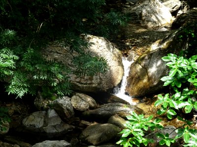 DSC06277 