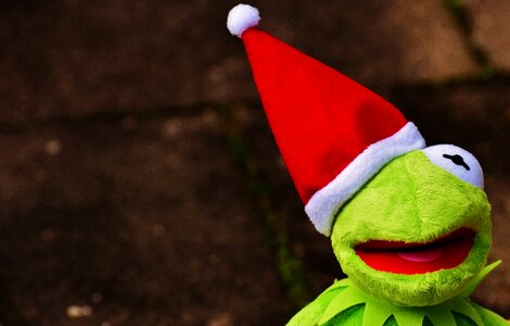 Santa hat cute funny