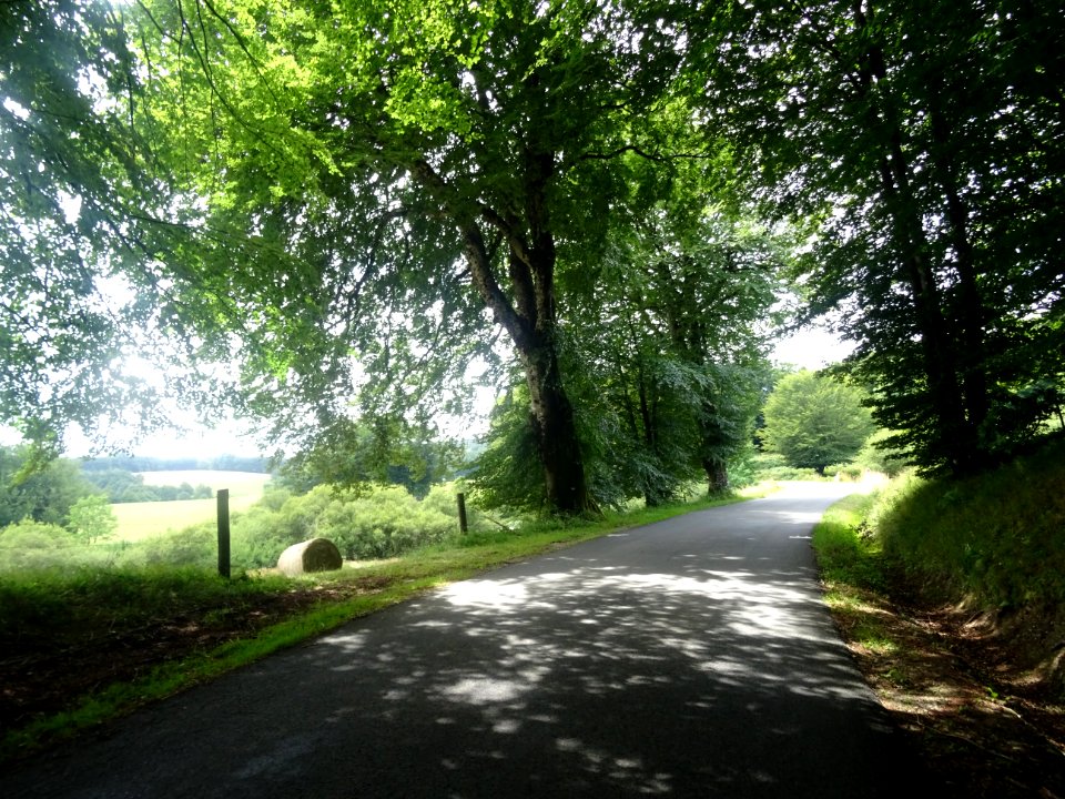 DSC06241 