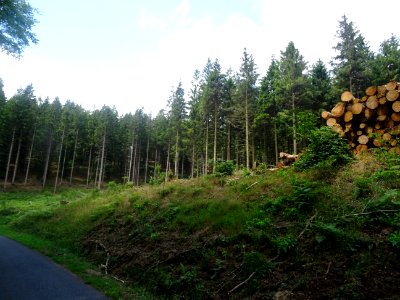 DSC06235 