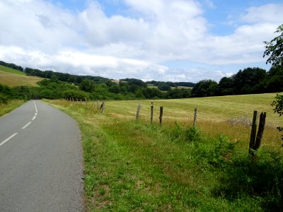 DSC06233 