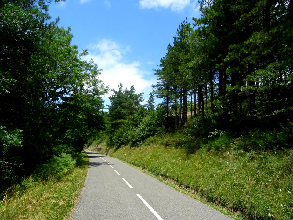 Sur la D920 qui monte au Col du Prince, Hérault 