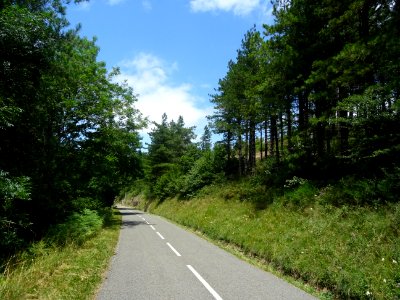 Sur la D920 qui monte au Col du Prince, Hérault 