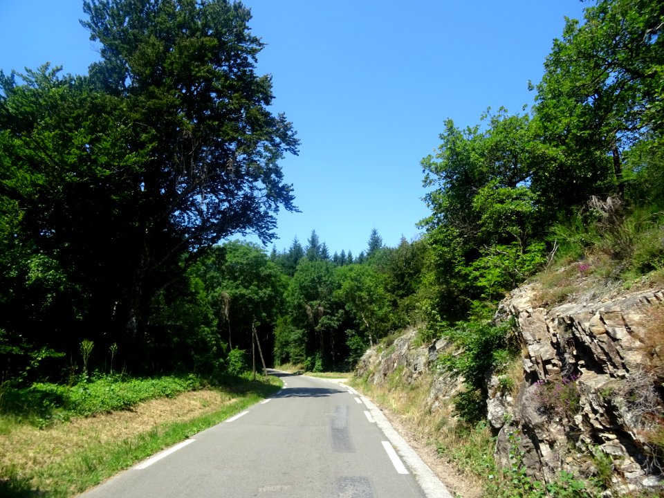 Entre Verrerie-de-Moussans et Ferrals-les-Montagnes, Hérau… 