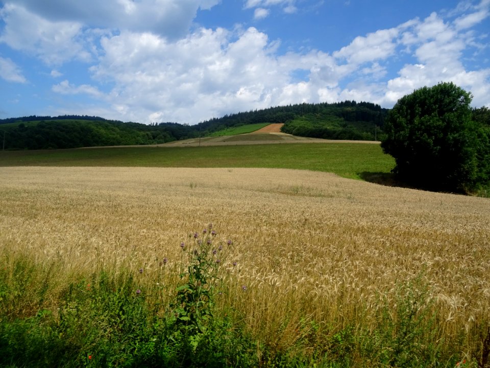 DSC06169 