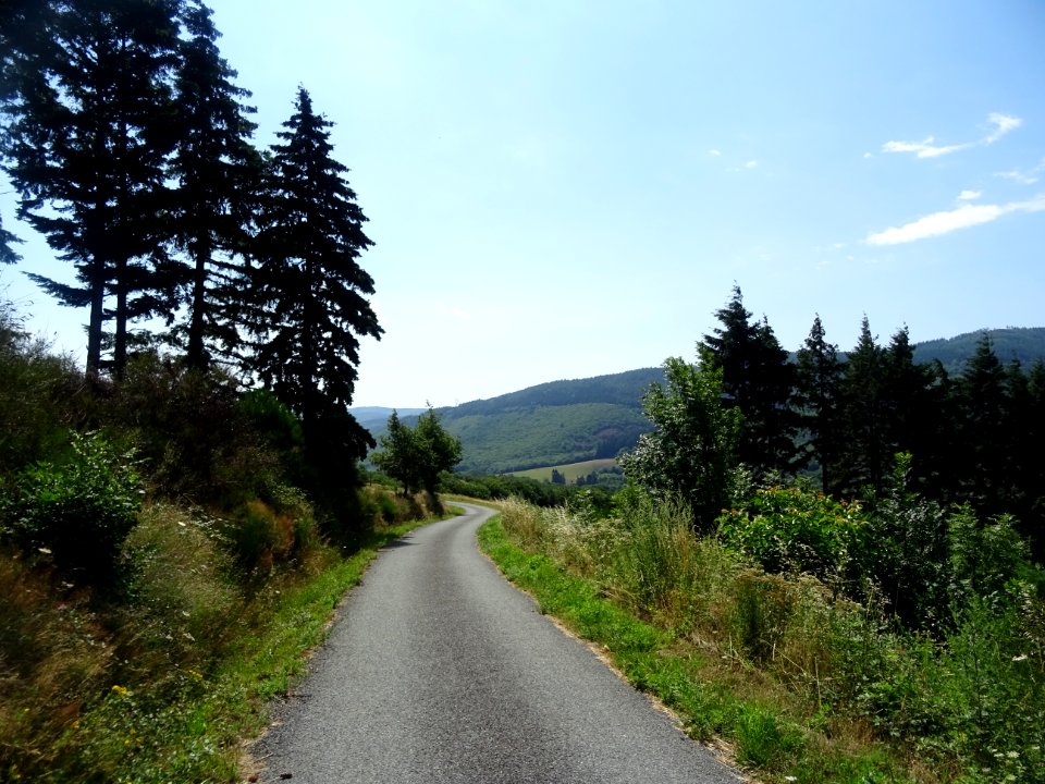 Petite route, vers Gayraud, commune de Sabo, Hérault 