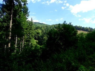 DSC06156 