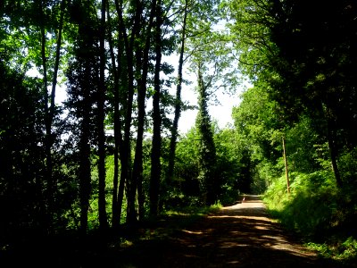 Route entre Prouilhe et Gayraud, commune de Sabo, Hérault 