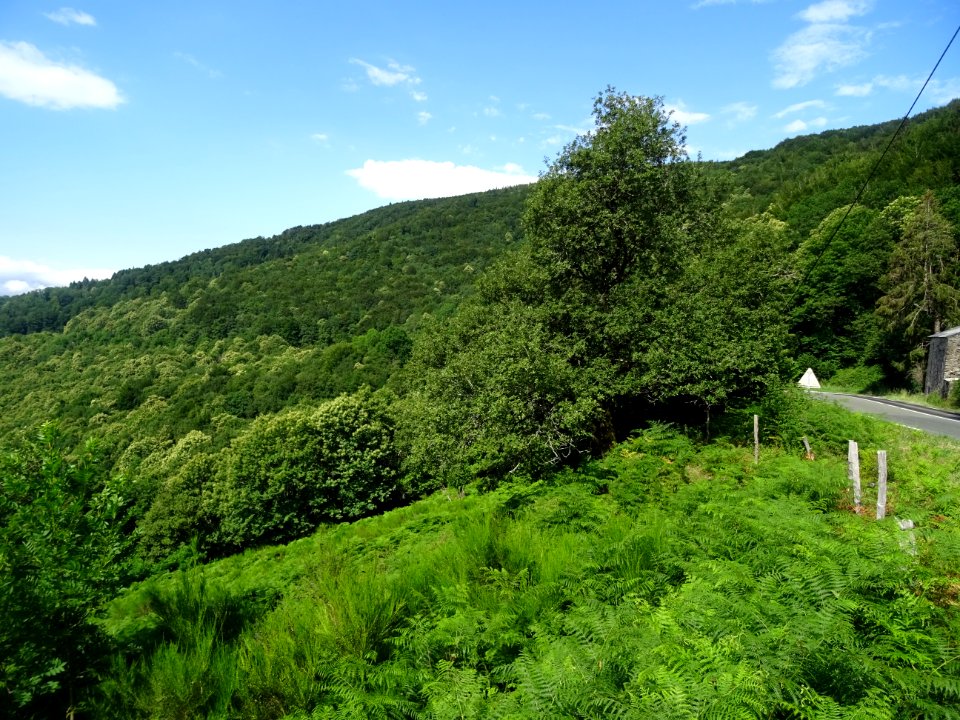 Dans la descente du Col de Cabarétou, Parc Naturel Régiona… 