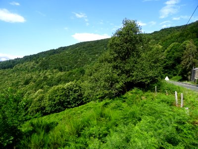 Dans la descente du Col de Cabarétou, Parc Naturel Régiona… 