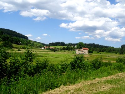 DSC05286 
