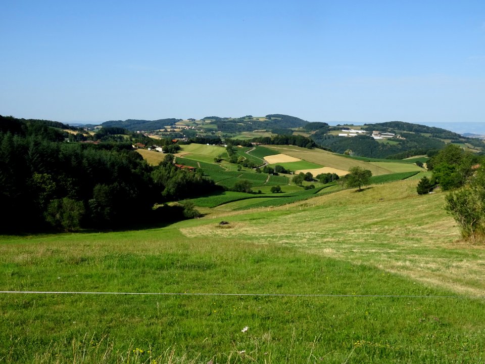 Prairies, bois et cultures, monts du Lyonnais entre Yzeron… 