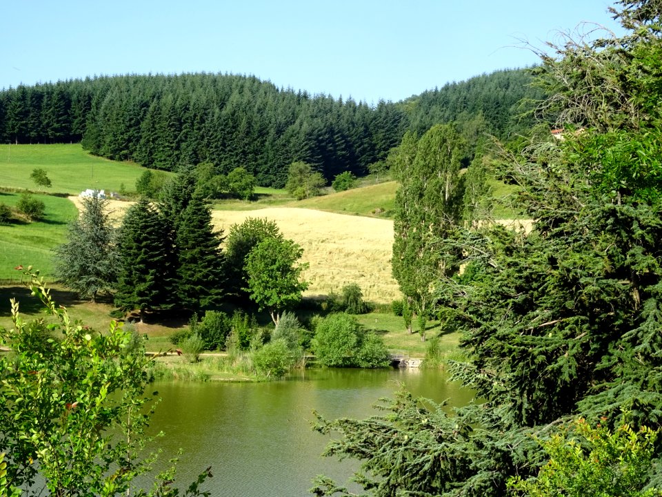 Lac du Ronzey, Yzeron, Rhône 