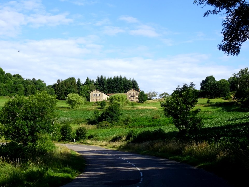 La route entre Yzeron et Duerne, monts du Lyonnais, Rhône 