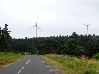 Entre Coucouron et Pradelles, la D110 traverse le Bois de … 