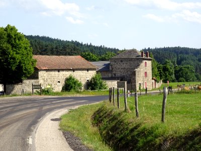 Sur la D500, la Combe en face de Artaud, commune de Tence,… 