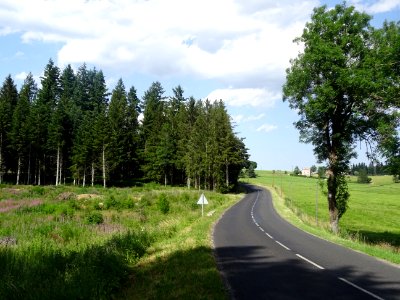 La route serpente entre prairies, épilobes et de petits bo… 