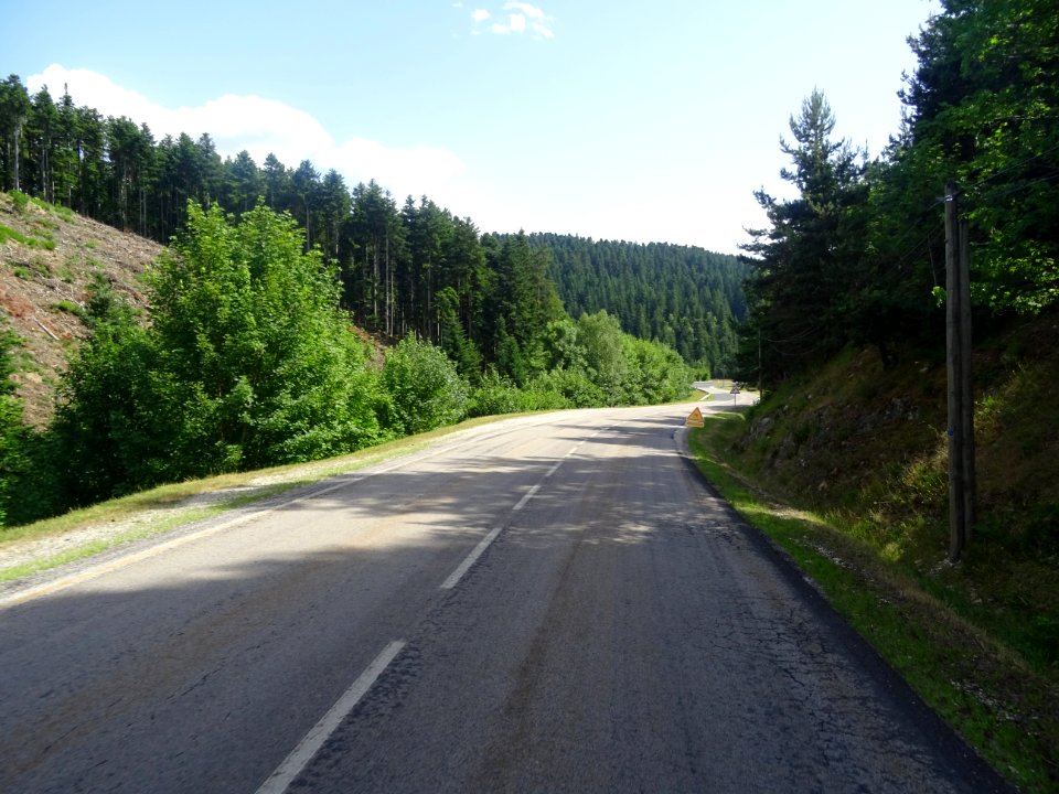 Une colline avec une coupe à blanc, la route qui monte res… 