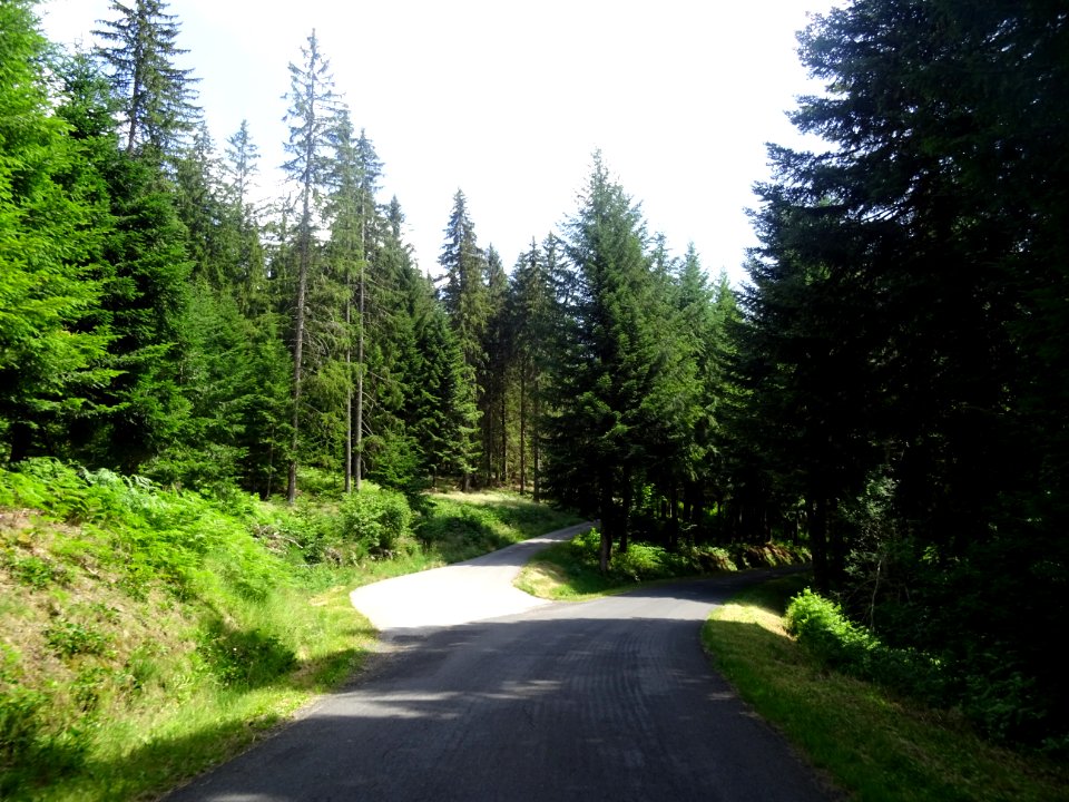 Traversée du Parc Naturel Régional du Pilat, entre St-Régi… 