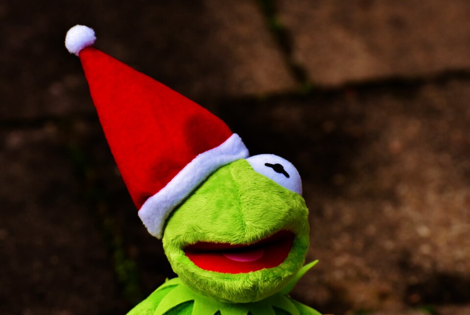 Santa hat cute funny