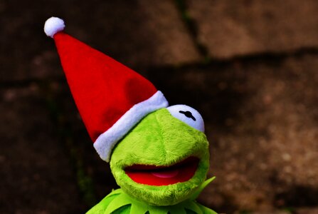Santa hat cute funny